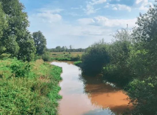 onttrekkingsverbod archief RTV onttrekkingsverbod archief RTV