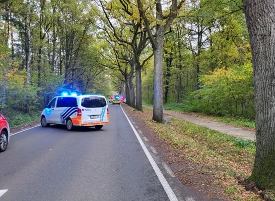 Auto tegen boom in Poederlee Auto tegen boom in Poederlee