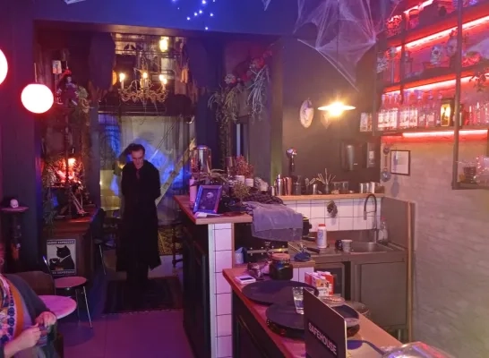 If You Like Black Cats Halloween Mechelen