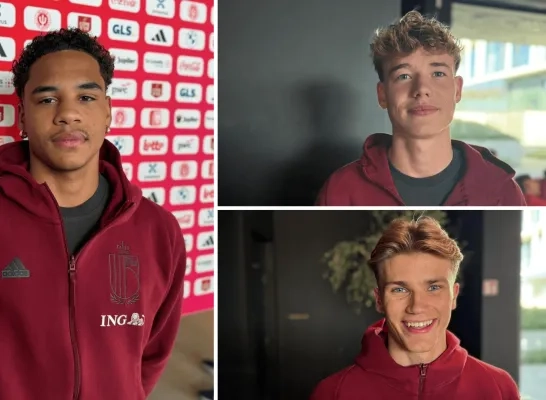 Jonge Duivels Fernandez Naert Braspenning Jonge Duivels Fernandez Naert Braspenning