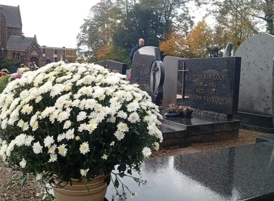 Regenachtige Allerheiligen houdt bezoekers niet tegen in Westerlo