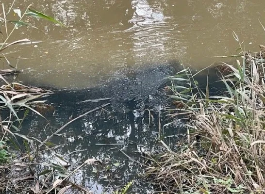 Grote Nete in Westmeerbeek vervuild