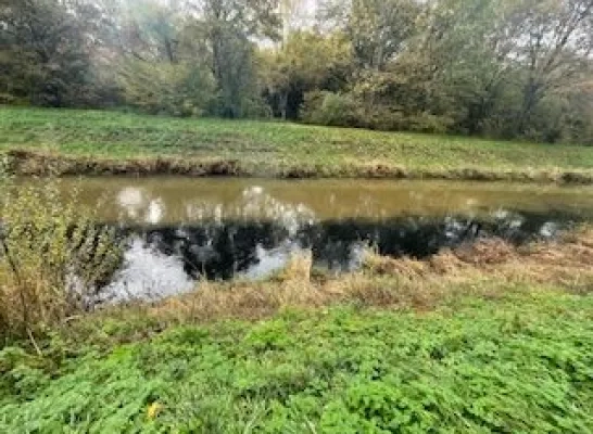 Grote Nete in Westmeerbeek vervuild