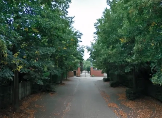 begraafplaats gemeente Herenthout archief.