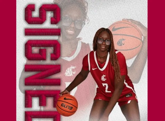 kangoeroes basket Facebook