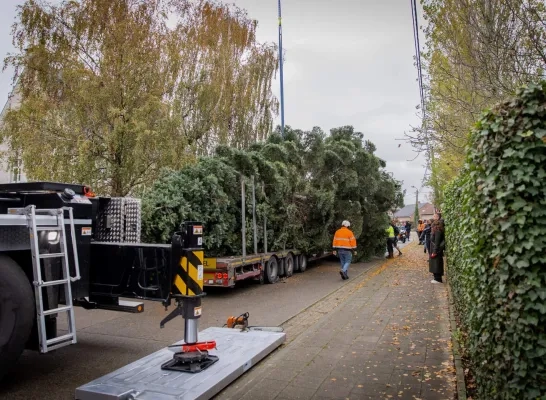 kerstboom Sint-Katelijne-Waver Grote Markt Brussel