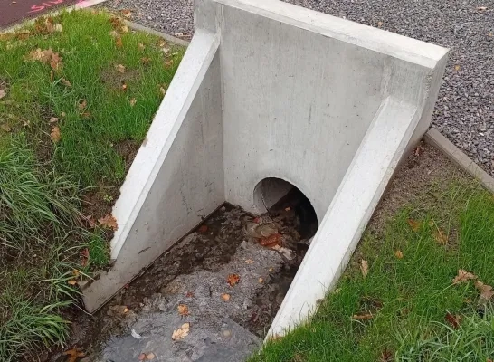 Gracht vervuild Rijmenam