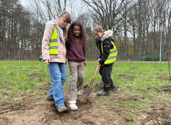 Stadsbos De Wieltjes Turnhout eerste bomen