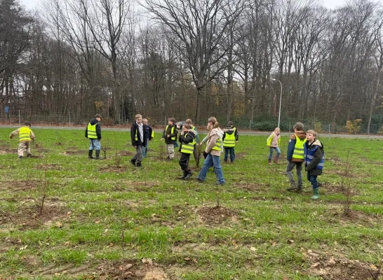 Stadsbos De Wieltjes Turnhout