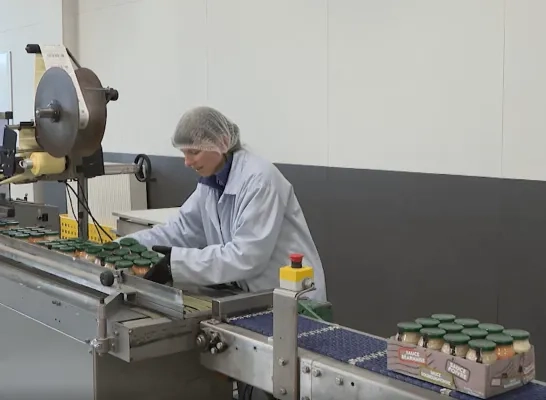 kaliber Herentals archief 0