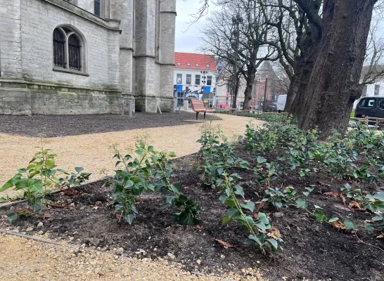 Heraanleg Sint-Romboutskerkhof Mechelen