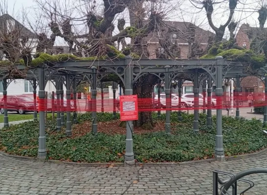 Rode lijn voor Gaza Westerlo