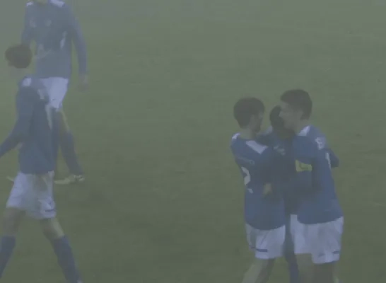 Turnhout - Zwarte Leeuw