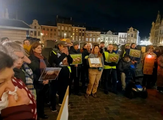 Ons gedacht en andere Lierse organisaties protesteren voor gemeenteraad: "Armoede zal alleen maar erger worden"