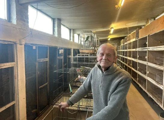 Heistenaar Gorgon Bellekens neemt afscheid van Antwerpse vogeltjesmarkt: “Met één pennentrekker is het gedaan”