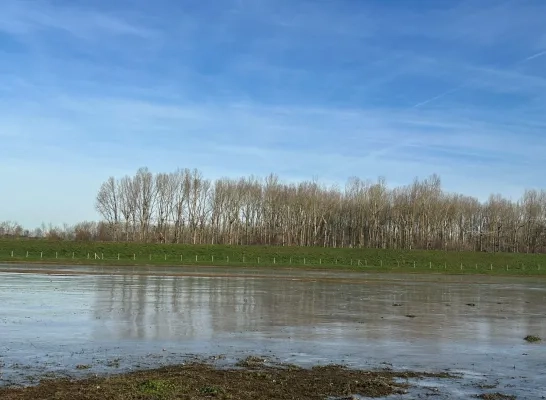 Bleukensweide Mechelen