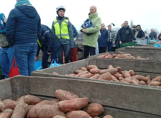 50 ton zoete aardappelen alsnog verkocht dankzij Waste Warriors