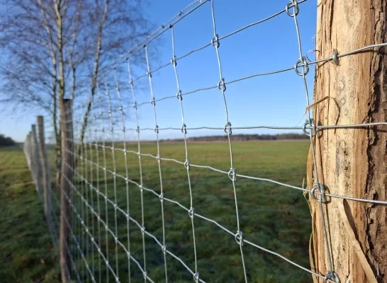 Defensie zet hek rond  vliegveld Weelde: recreanten vormen te groot veiligheidsrisico
