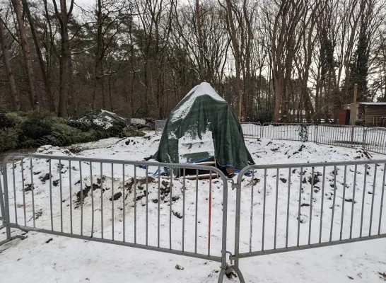 Scouts Bosvogels maken zich op voor kerstboomverbranding