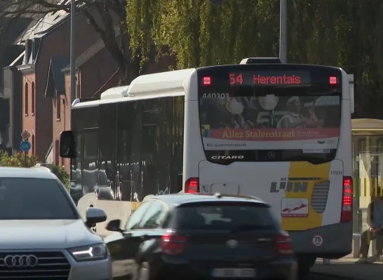 Buslijn 54