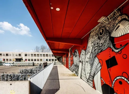 100 dagen fuif in De Loods