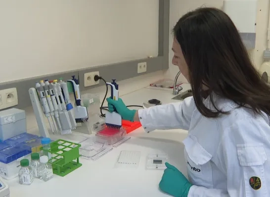 Laborante aan het werk bij VITO