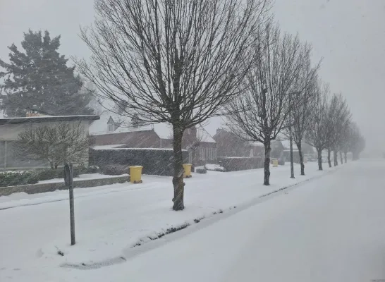 sneeuw Turnhout