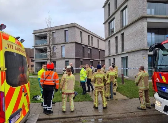 Vrouw van 86 komt om het leven bij brand in Willebroek