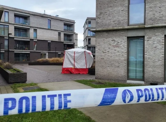 Vrouw van 86 komt om het leven bij brand in Willebroek