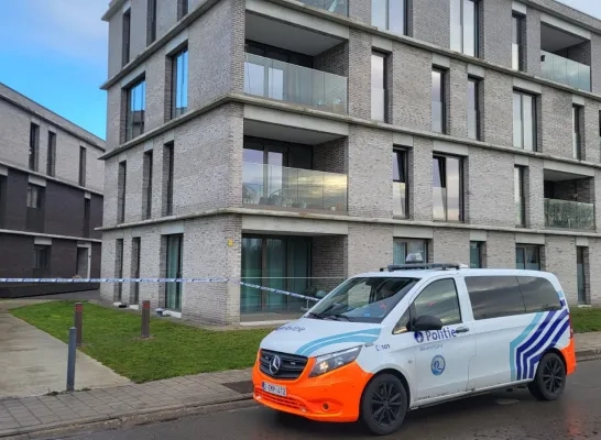 Vrouw van 86 komt om het leven bij brand in Willebroek