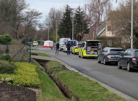 Man sterft onder boom in Kessel