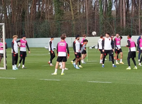 KVC Westerlo heeft punten broodnodig