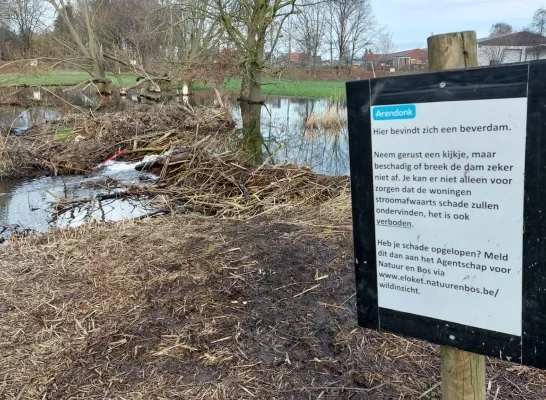 beverdam overstroming Arendonk kunstacademie