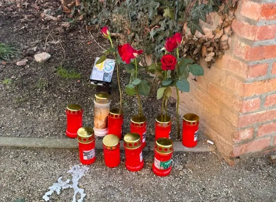 schietpartij Geel-Larum