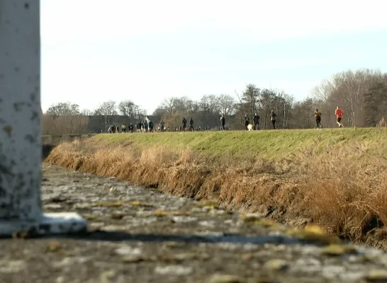 Halve marathon door Lier