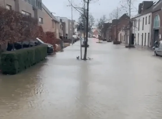 waterlek zammel archief.p