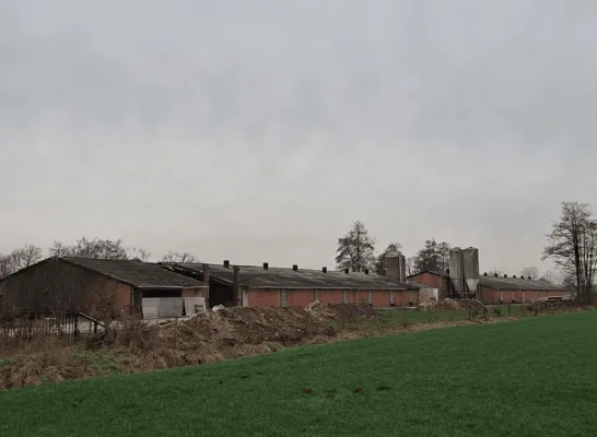 vervuiling Merksplas