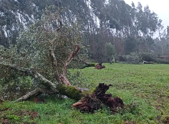 schade stormweer Portugal storm Kristin Leonardo