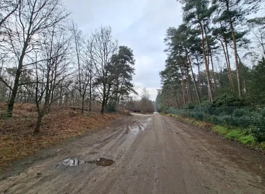 drugslabo bossen Lichtaart 