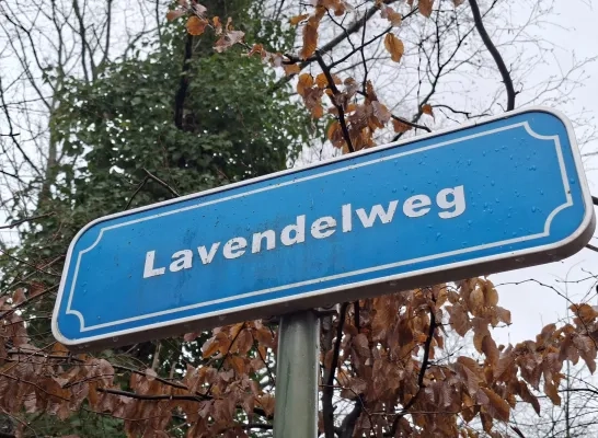 drugslabo bossen Lichtaart 