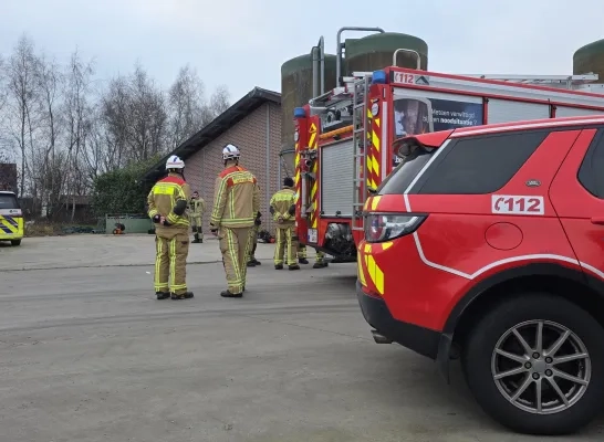 Onwel door mestgassen in Meerle