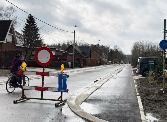 Bonheiden geeft boom cadeau als compensatie voor rooien bomenrij