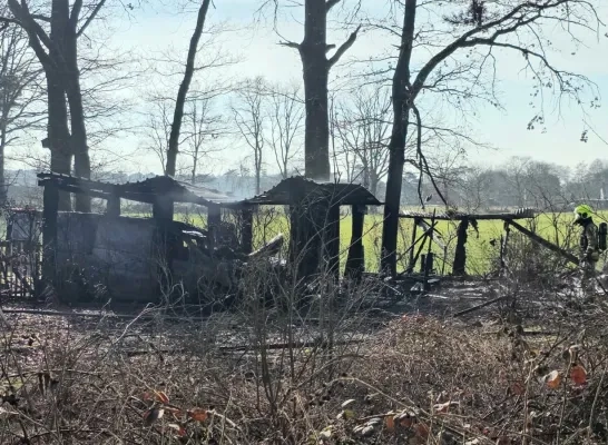 2 auto's uitgebrand Mol
