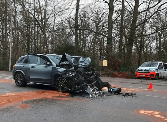 ongeval planckendael GVA.p