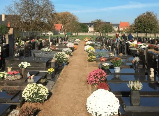 begraafplaats gemeente Herenthout 