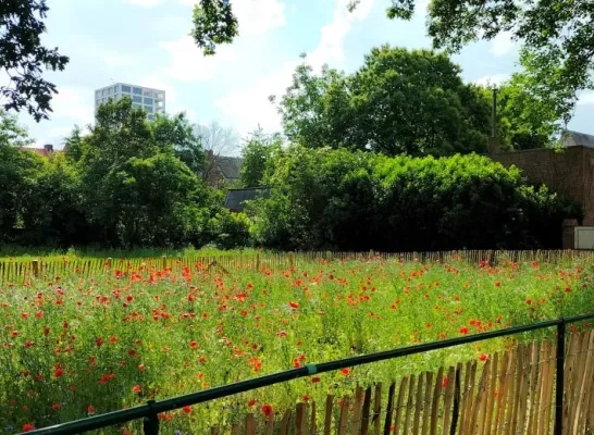 Grooten Singel Turnhout