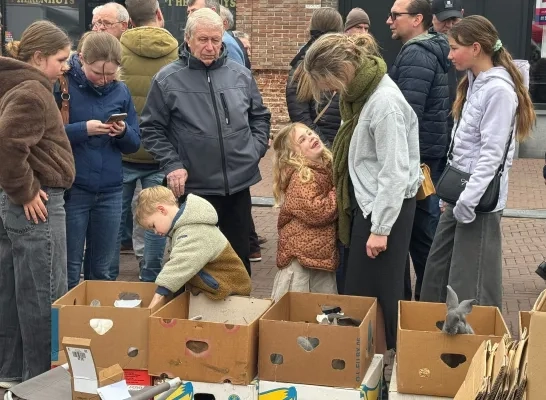 Dierenmarkt in Mol