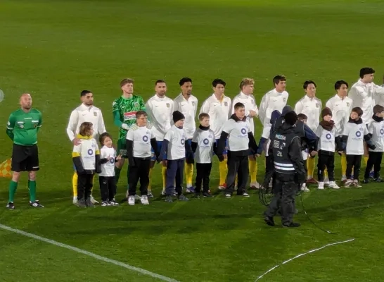 Westerlo-Club Brugge