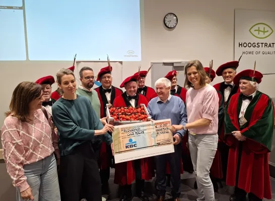 Opening aardbeienseizoen Hoogstraten