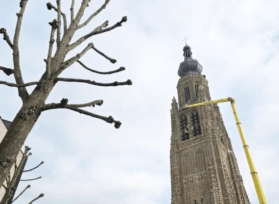Inspectie Katarinatoren
